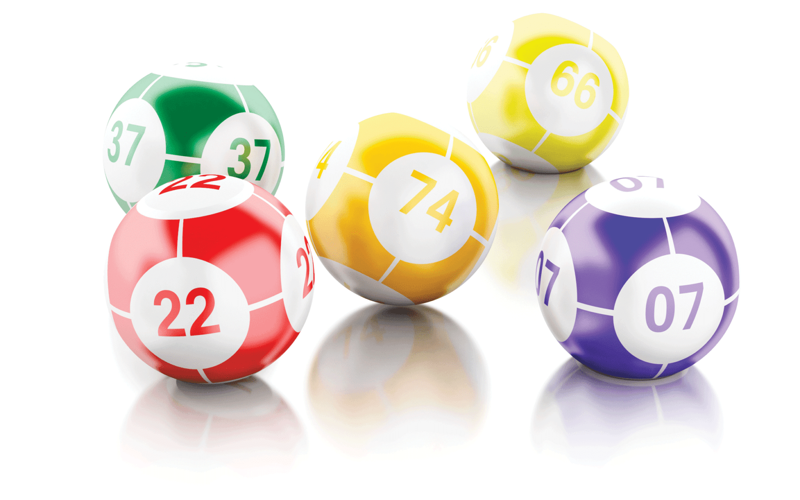 bingo | MemberPress