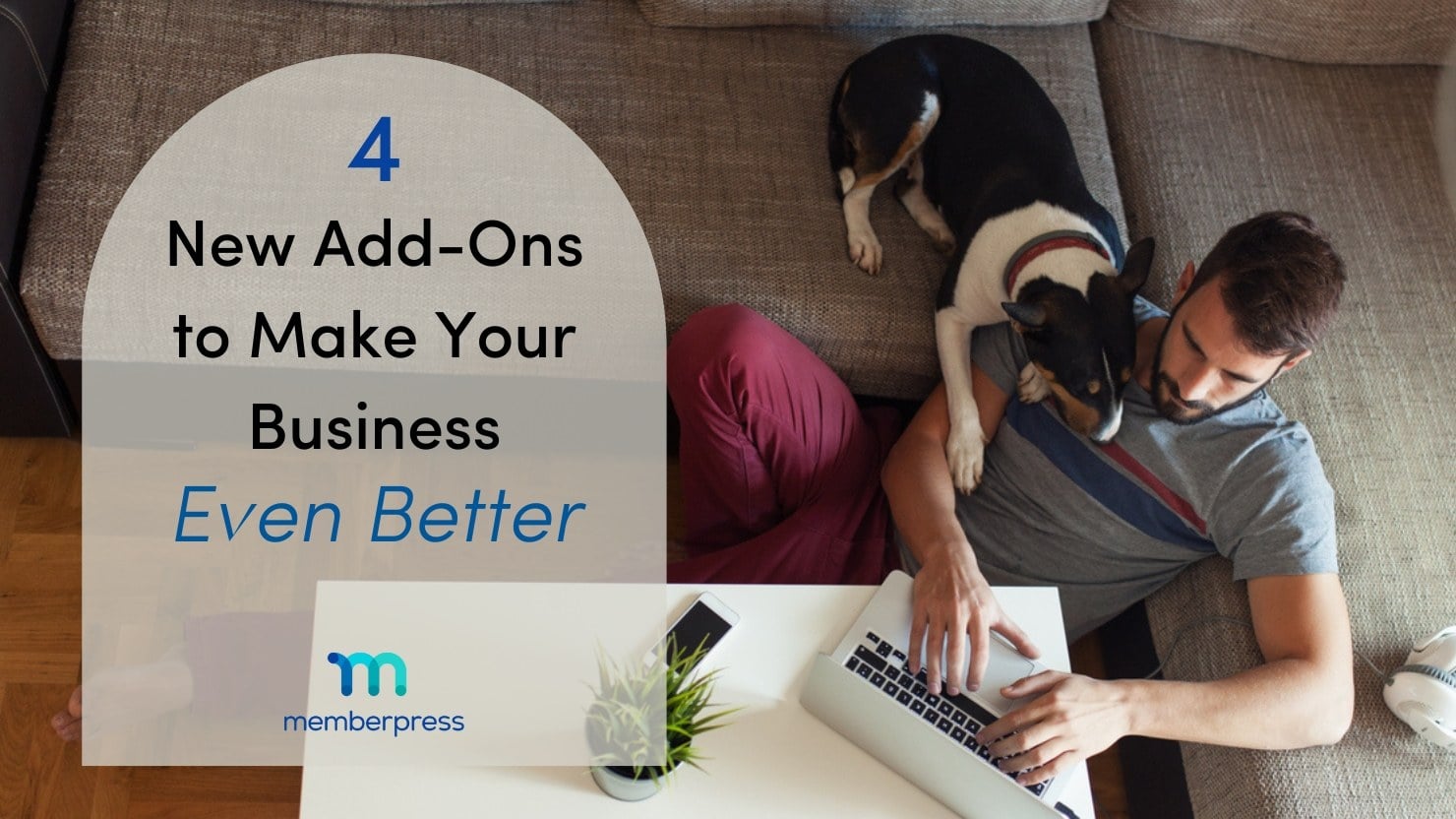 4 nuevos complementos para mejorar tu negocio