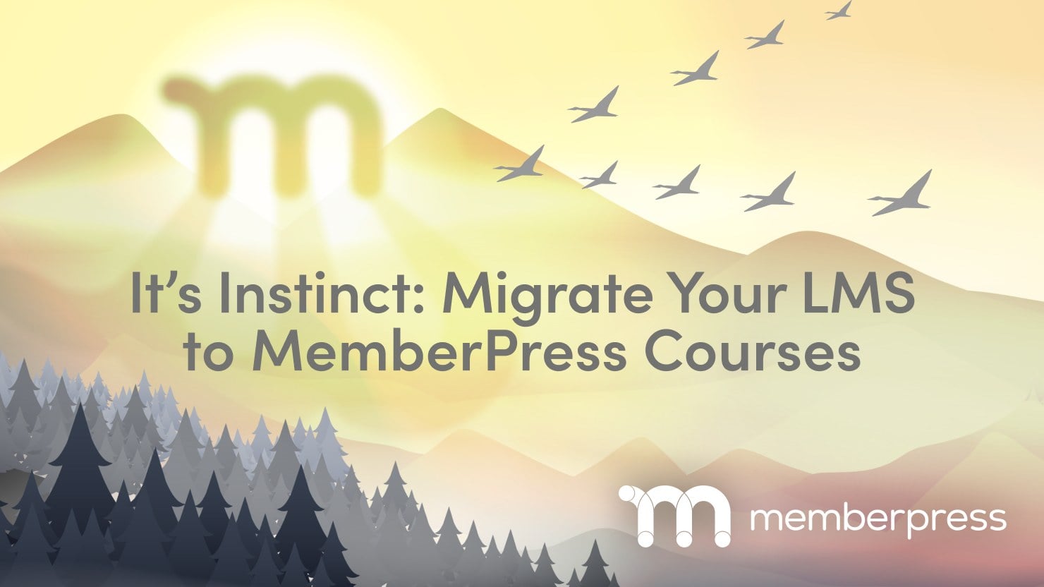 Migration en un clic du LMS vers les cours MemberPress