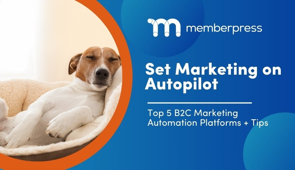 Title image showing a dog resting with the title "Set Marketing on Autopilot - Top 5 b2c marketing automation platforms"