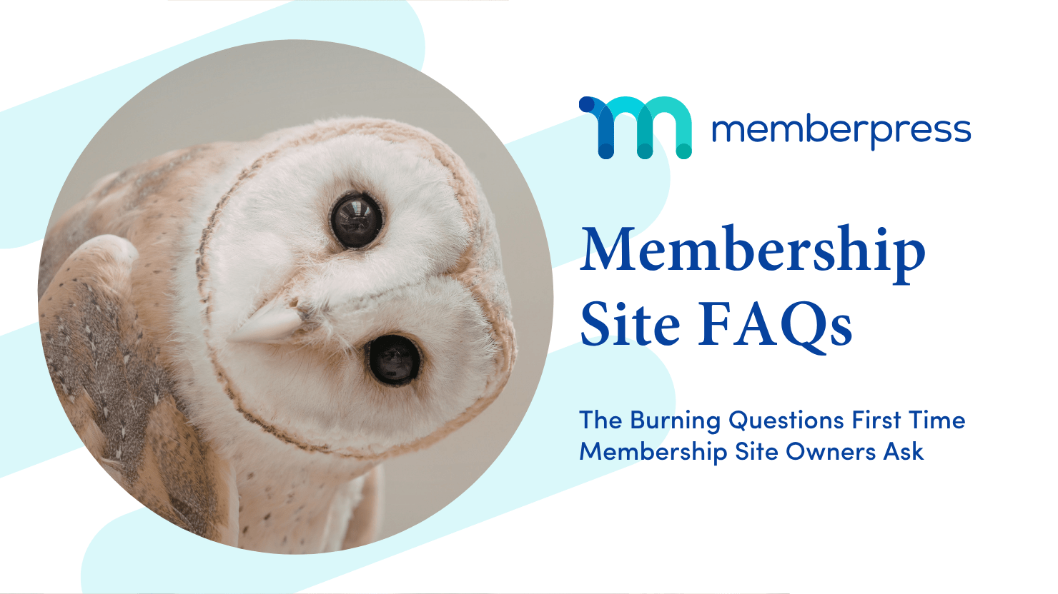 Membership Site FAQs | MemberPress Membership Site FAQs