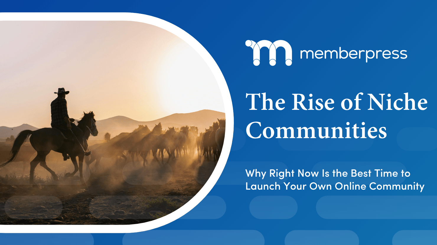 The Rise of Niche Communities | MemberPress