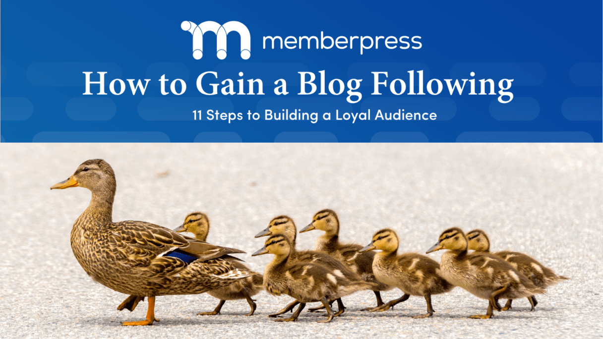 How to Gain a Blog Following | MemberPress Article header reading 'How to Gain a Blog Following' with subtitle '11 Steps to Building a Loyal Audience', above a photo of a mother duck leading ducklings across a road.